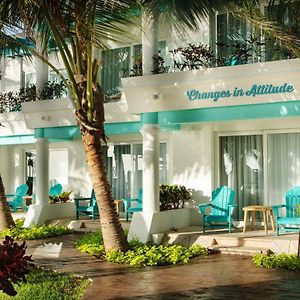 Paradise Suite